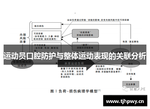 运动员口腔防护与整体运动表现的关联分析